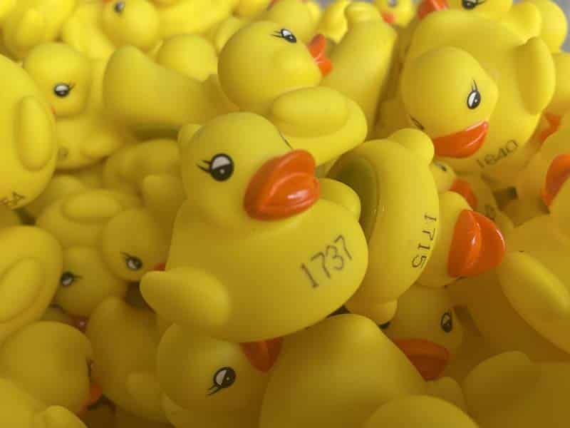 Ponte Vedra Rotary Rubber Ducks Earn $20,000 for Learn to Read of St. Johns & Putnam Counties